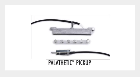 Pathelatic PickUP System